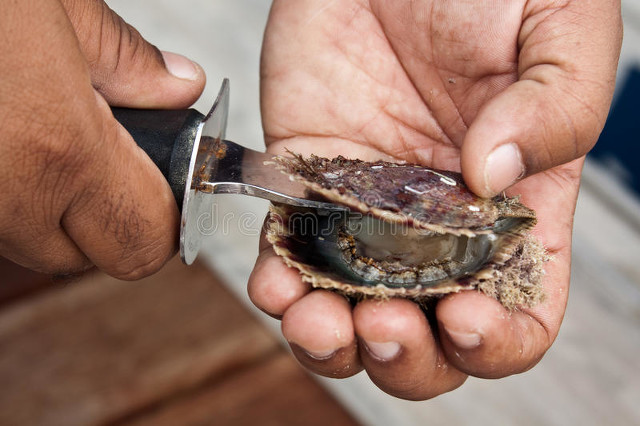 卡塔尔花2000亿打造城市,卡塔尔花了2000亿美元吗