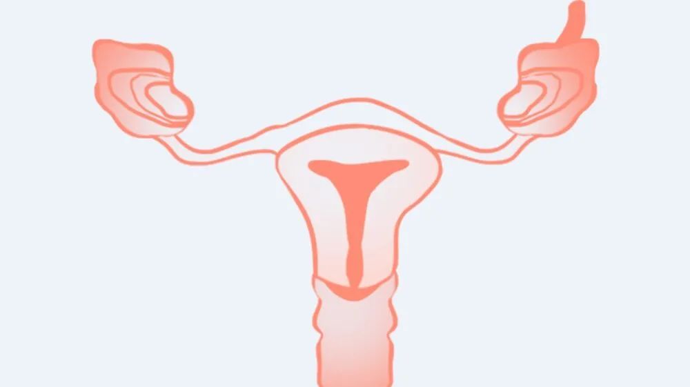 卵巢功能衰退的原因及解决方法,月经量少卵巢功能衰退的危害