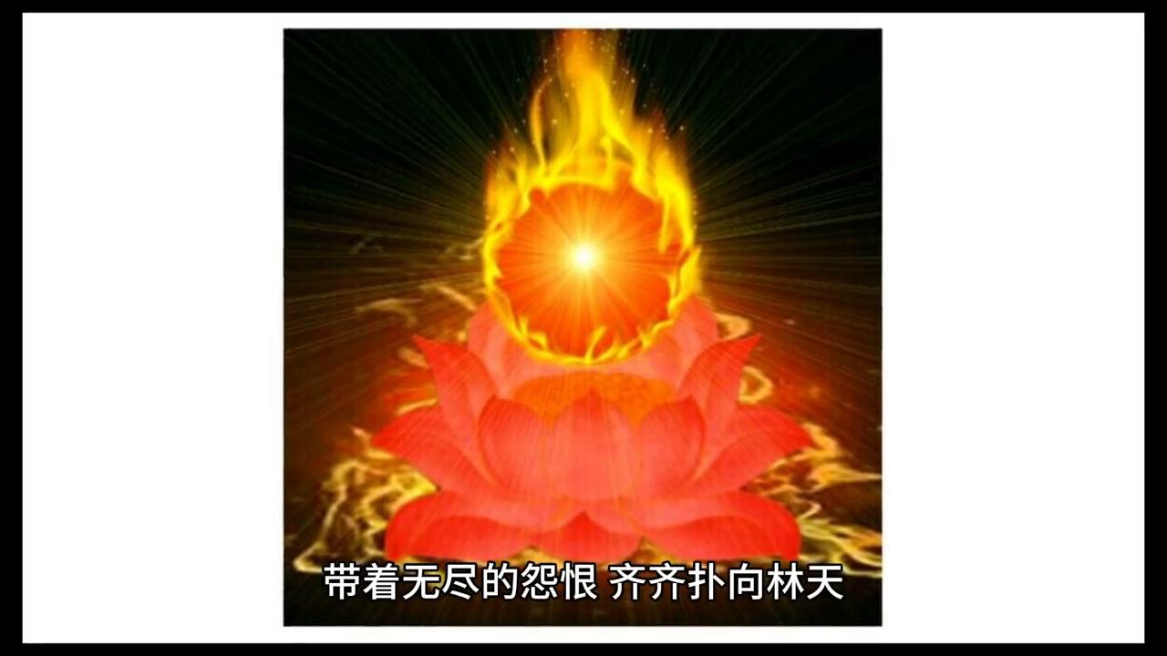 dou+小助手直播官方账号直播间,dou+小助手上热门