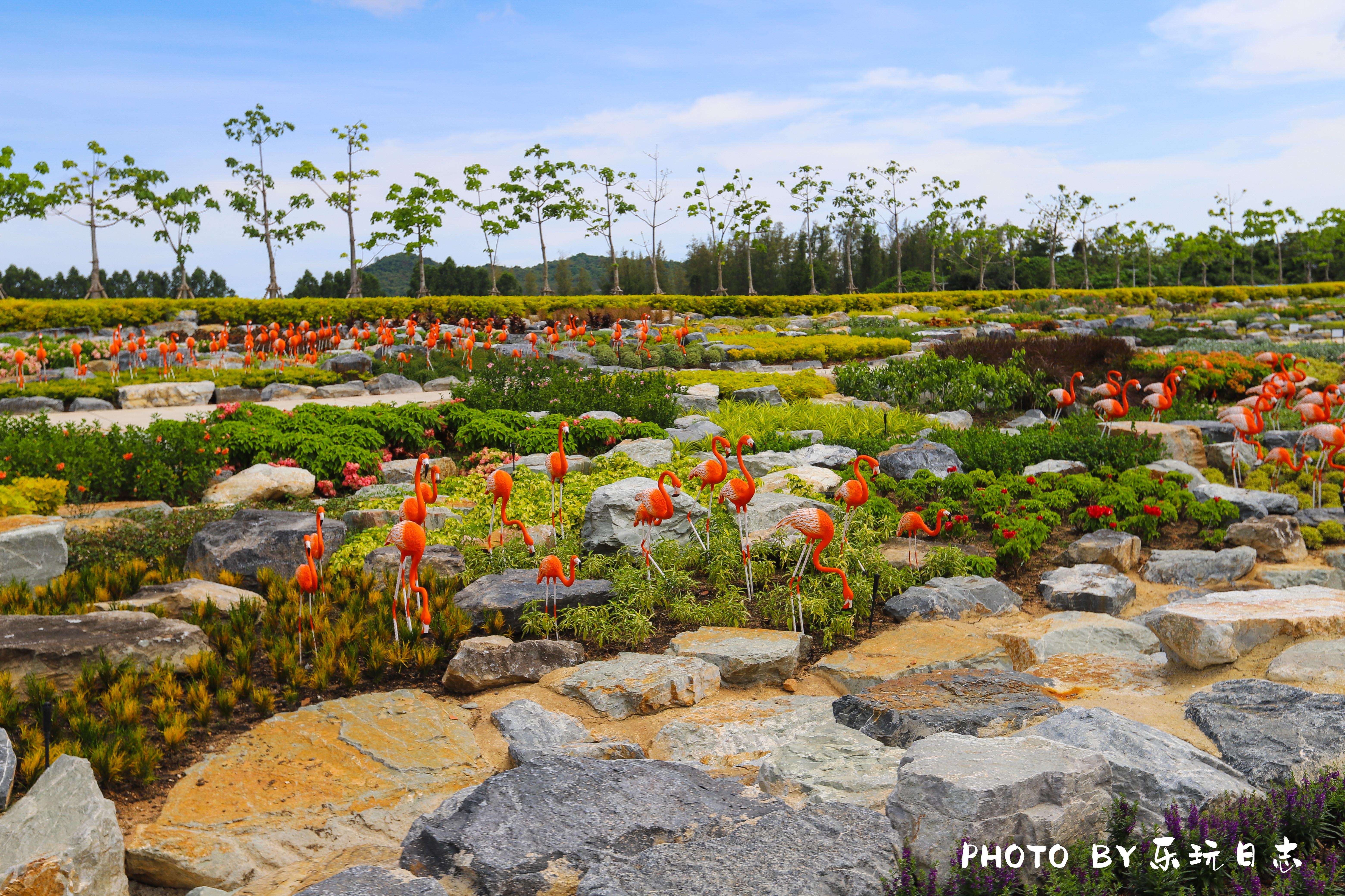泰国热带公园,泰国东芭乐园占地面积
