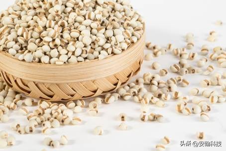 芒种夏始，胃不舒服用舒适的安翰磁控胶囊胃镜查查胃