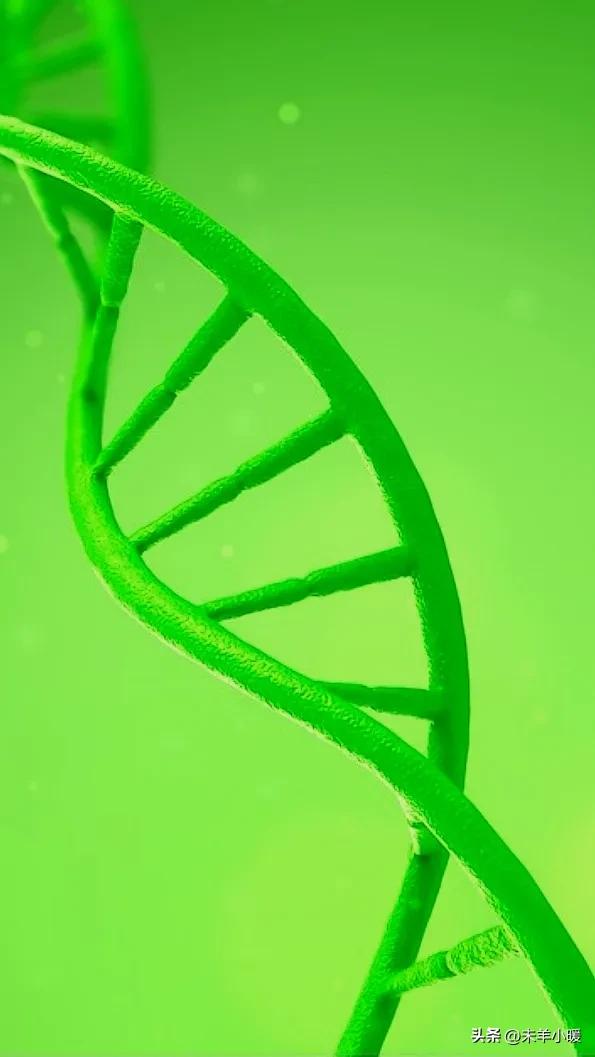 最美的手机壁纸大全,养眼养心的壁纸