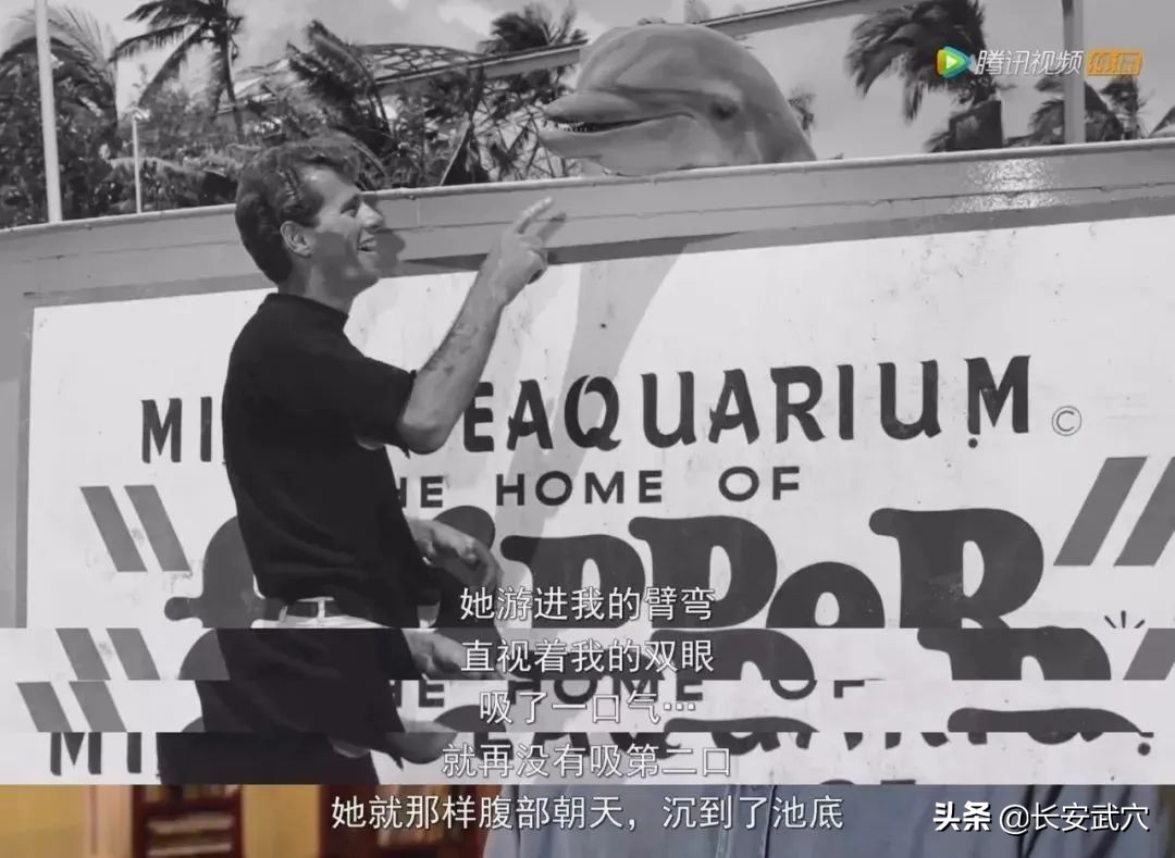 全网最近大事件,最大丑闻案件