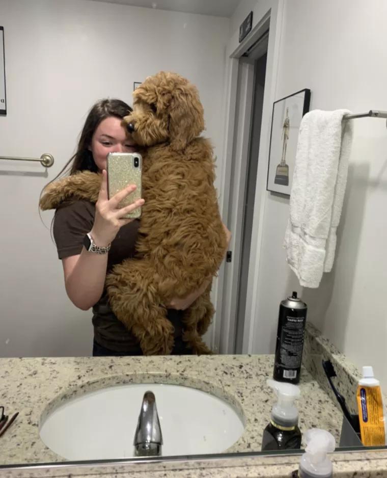 小黄狗长大的过程,小黄狗长大过程