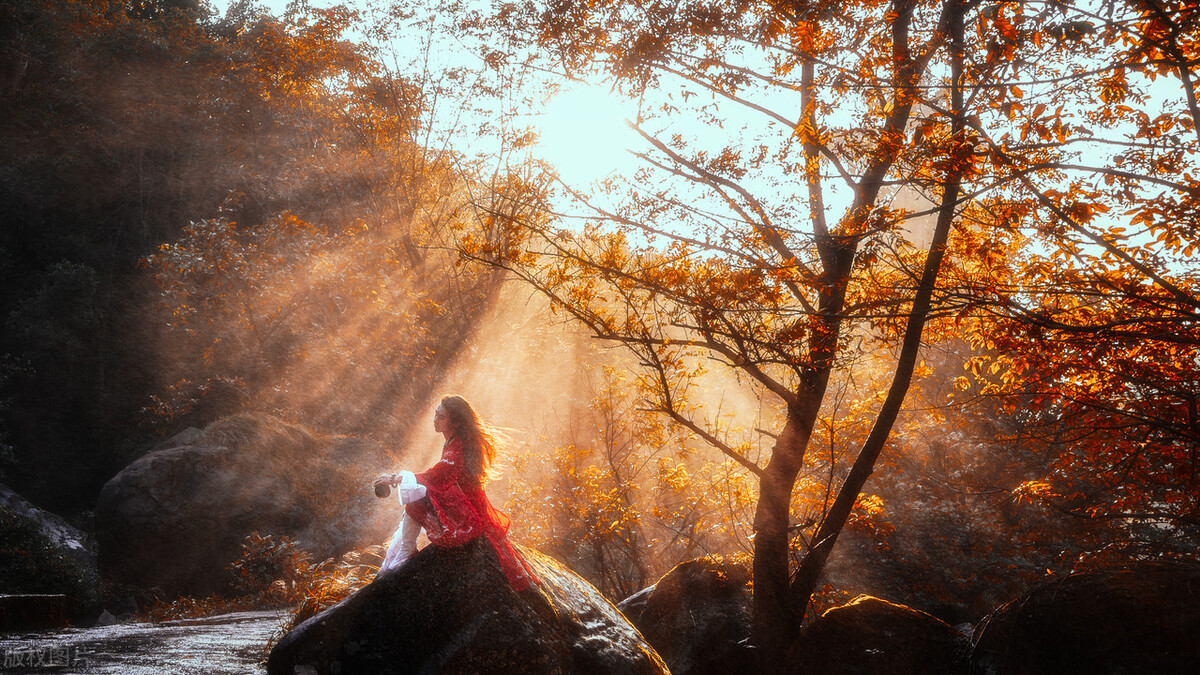 带有诗意的句子夸女人,带有诗意的句子古风