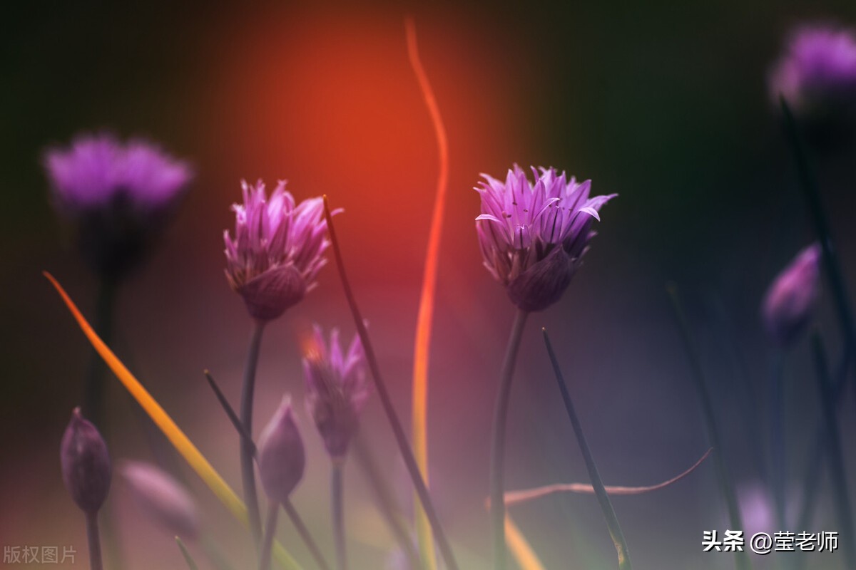 天上的街市仿写小练笔,天上的街市仿写500个字