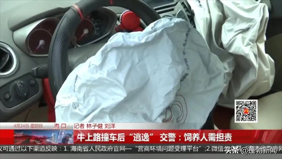 一头牛把人撞了,车把牛撞了谁的责任