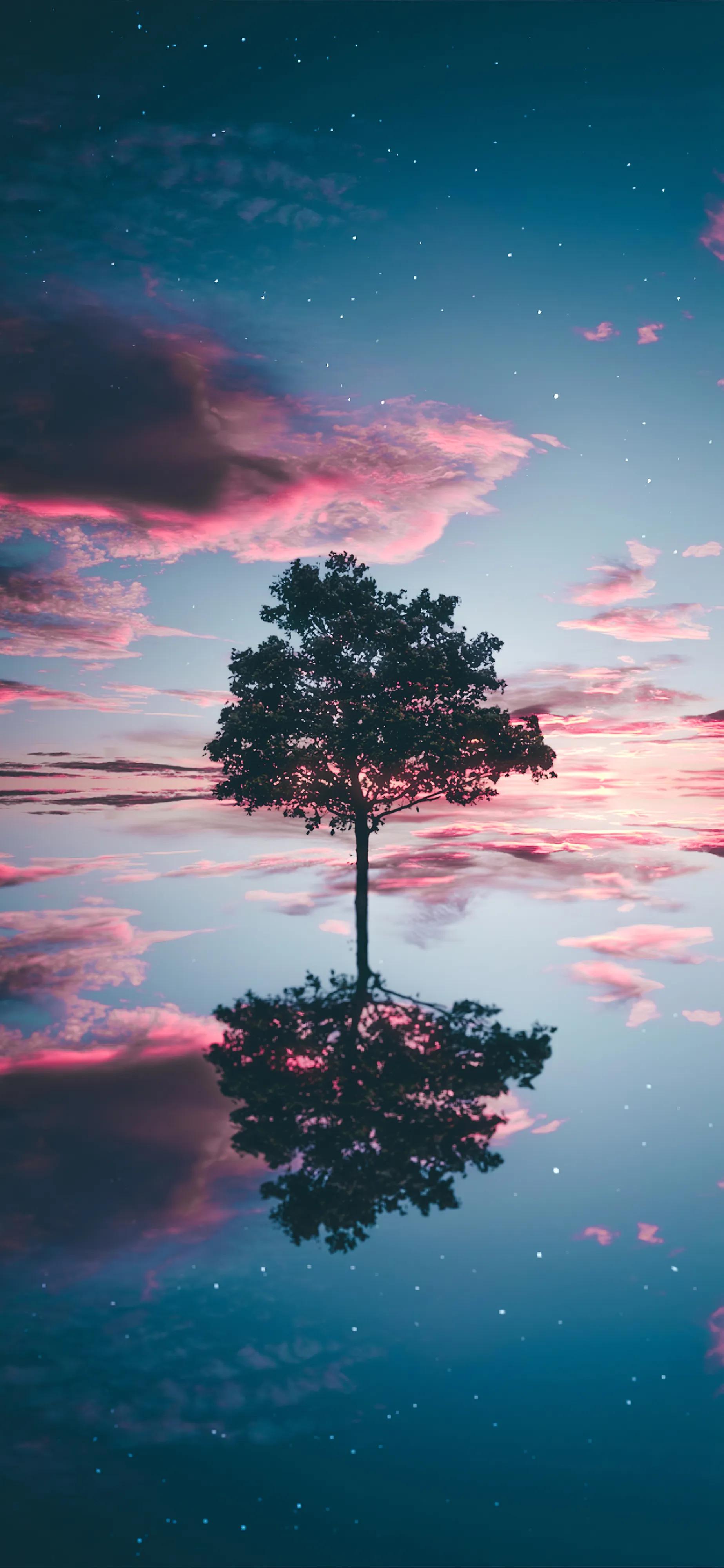 自媒体创业的心酸,自媒体创业半年亏了80万