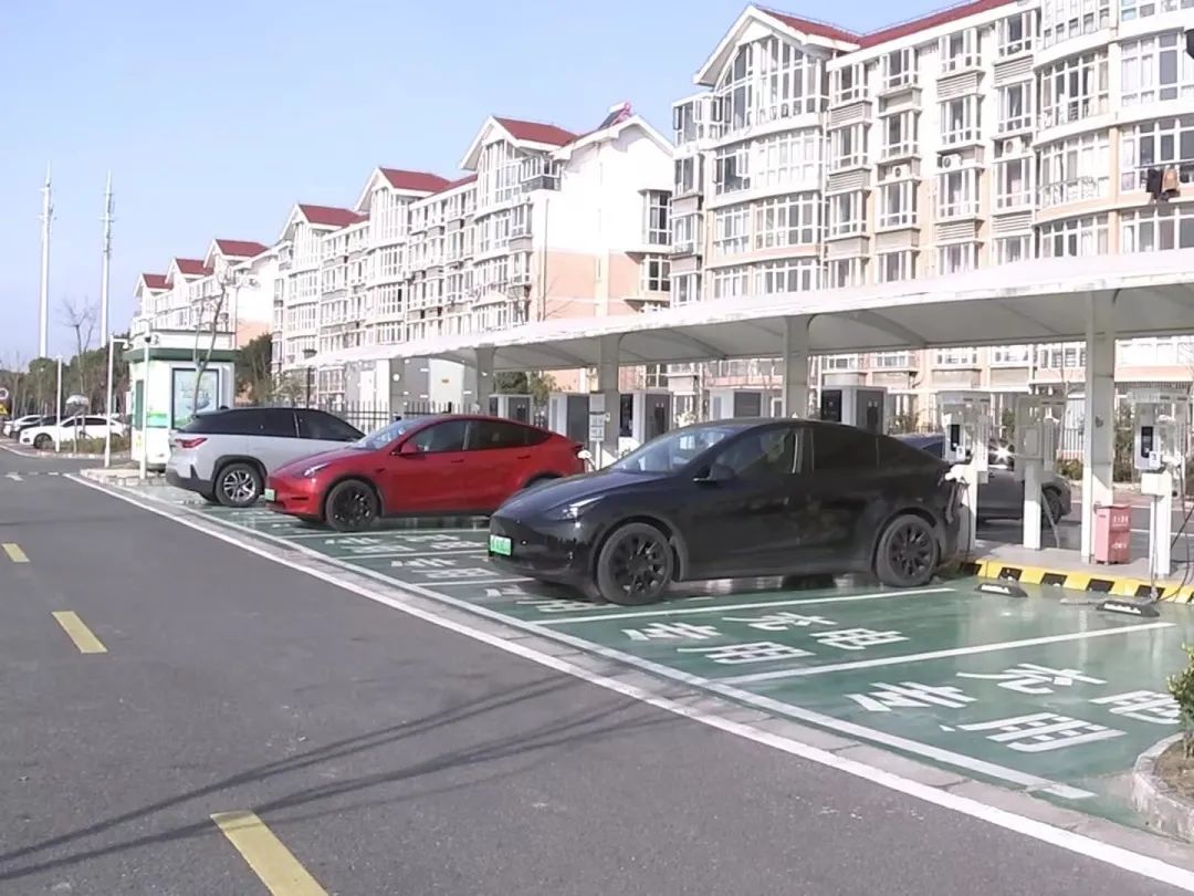 三年翻8倍！！太仓人为啥这么爱？