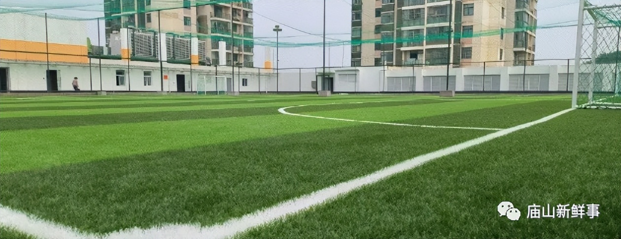 江夏庙山这两大商业体的楼顶，建起了体育运动场馆