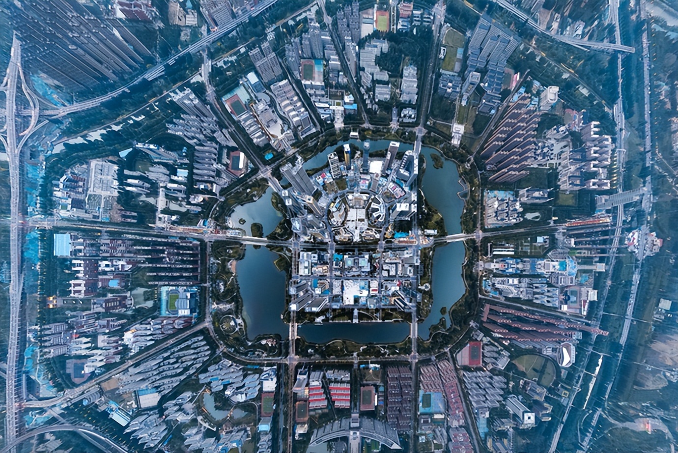 产业迸发新活力,培育龙头企业推进产业发展