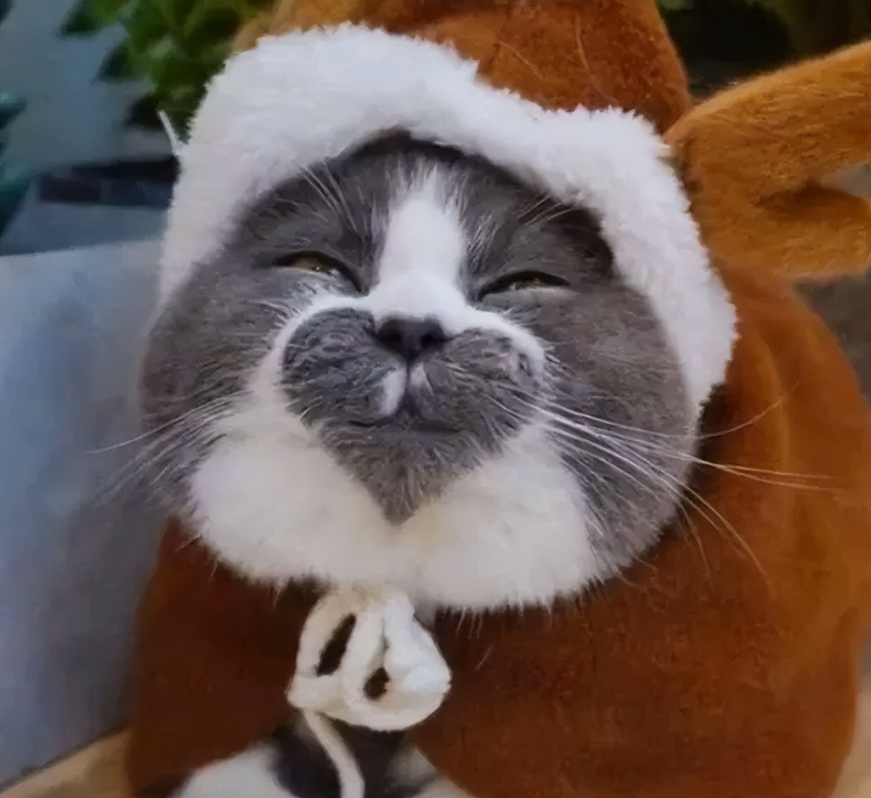 摆脱了脱发的烦恼,脱发真的别折腾了该脱还是脱