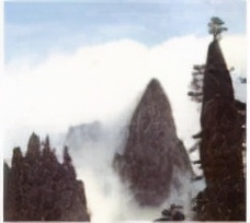 哈尔滨2020年初中升学考试语文,哈尔滨市2021年中考数学试卷答案