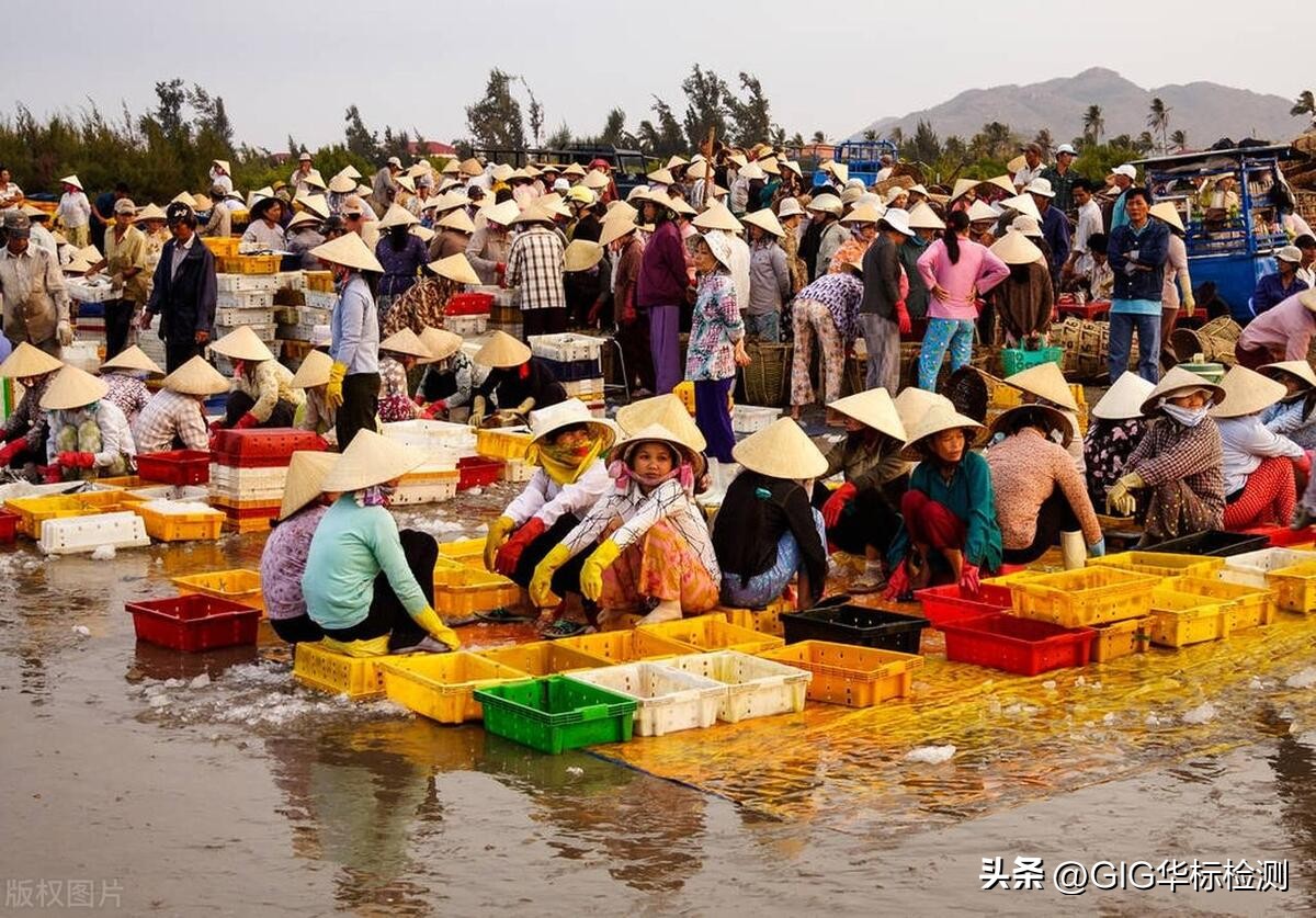 bis认证需要哪些产品,bis认证周期多久