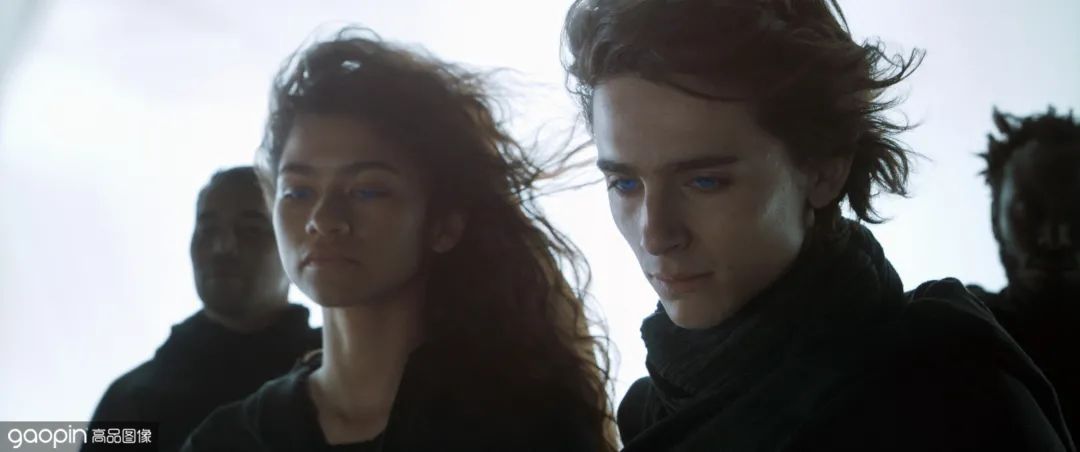 最受欢迎的蜘蛛侠排行完整视频,最受欢迎的蜘蛛侠排行榜3