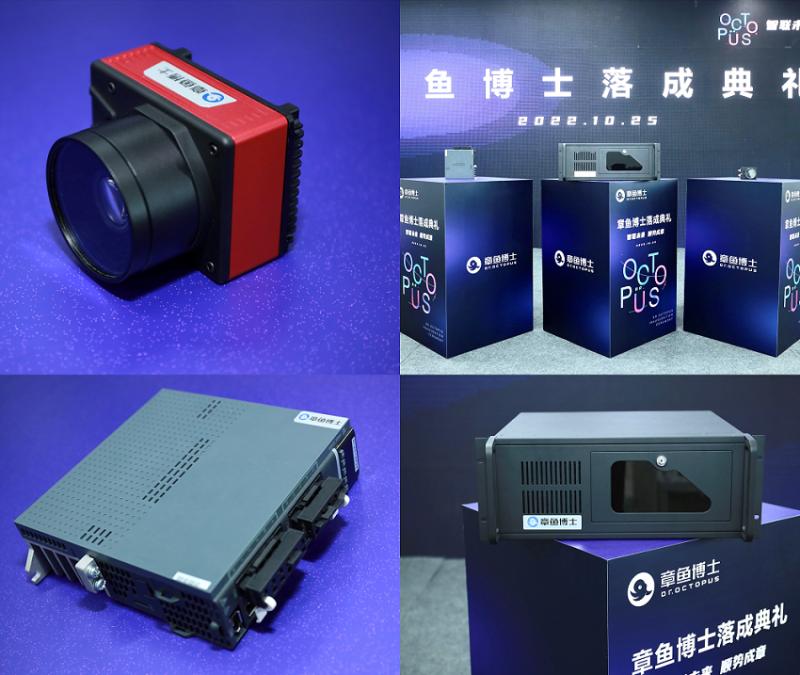 章鱼博士实现梦想,章鱼博士智能技术上海