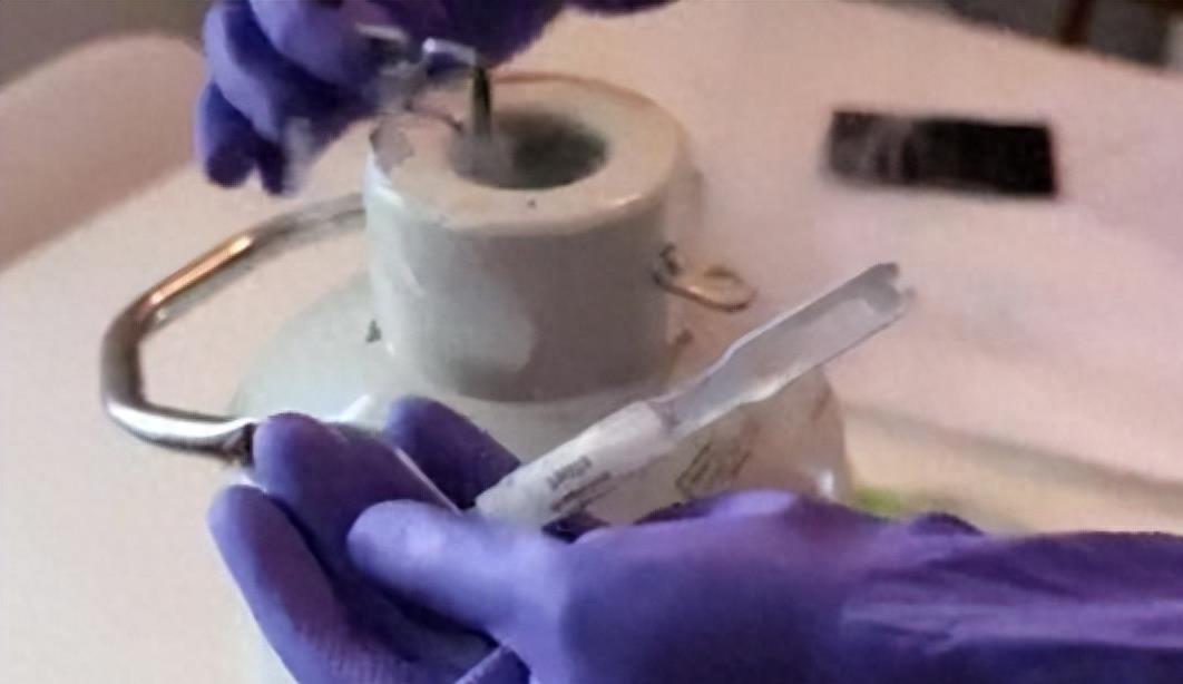 英国女性被拒绝做试管,英国女子网上购买针筒