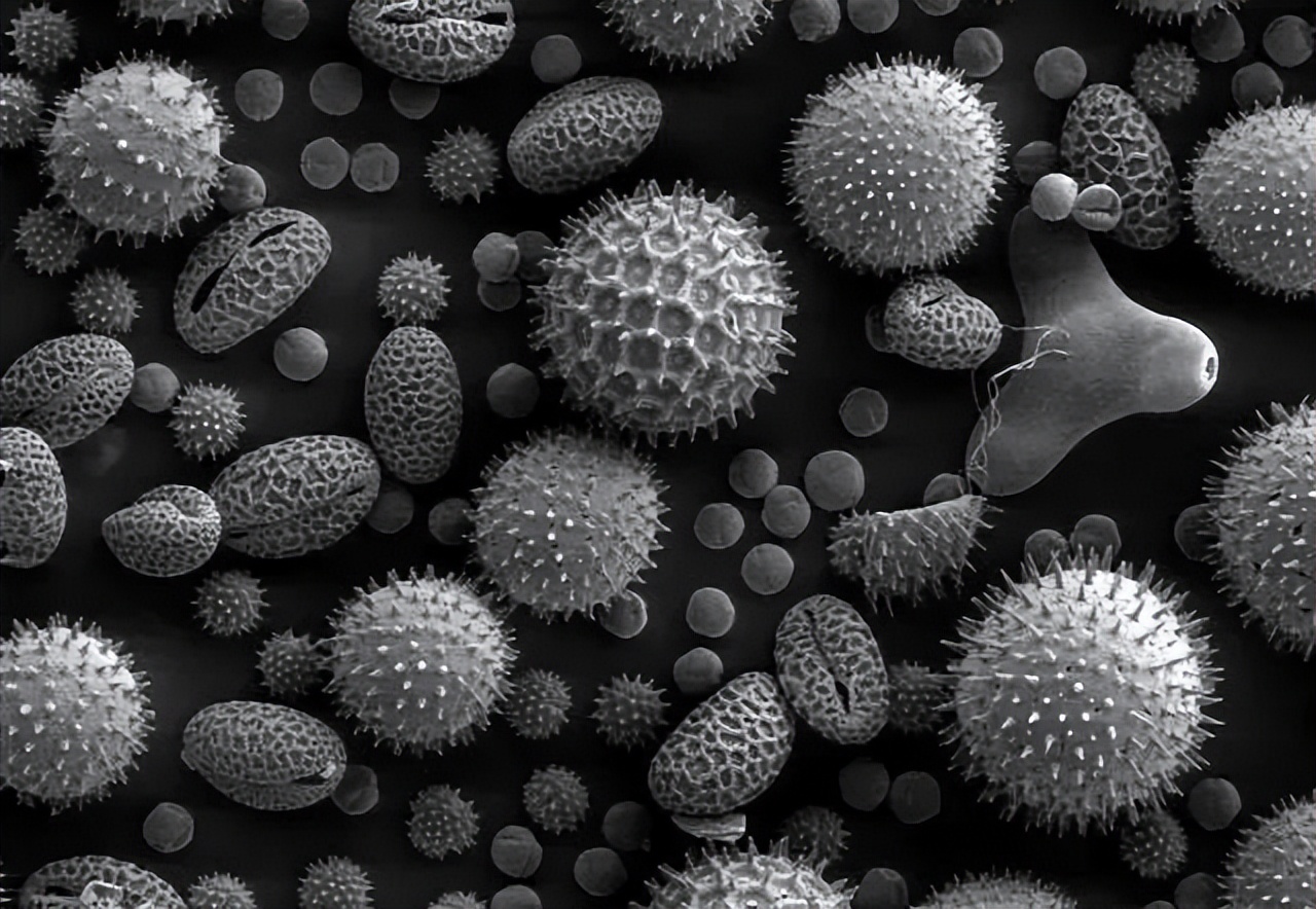 材料表征手段及原理,十二款常用材料表征仪器