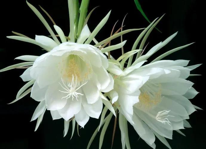 正确对待风气,风气关乎士气