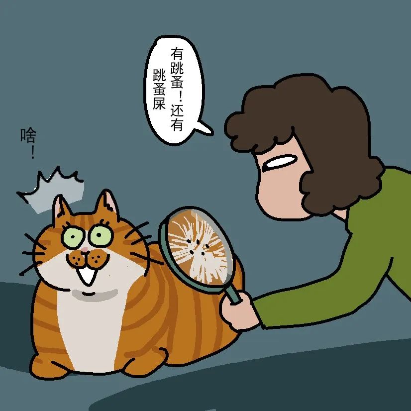 猫咪怎样驱跳蚤和蜱虫 (小猫身上有跳蚤了做外驱有用吗)