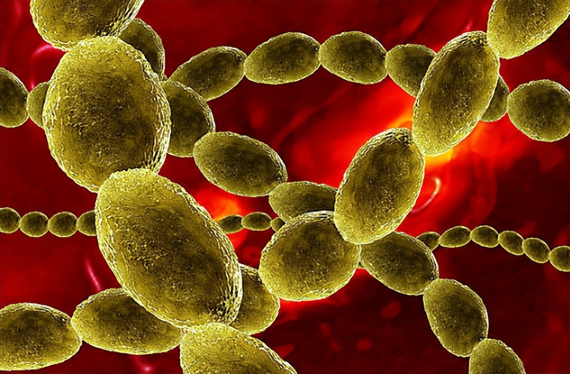 人体卫士和细菌大作战,人体卫士与细菌病毒大作战完整版