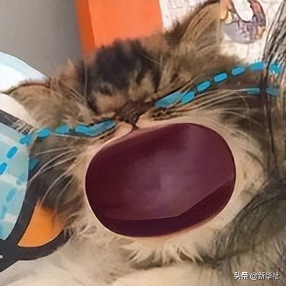 警方提醒注意的诈骗手段,公安提醒警惕4种涉网骗局