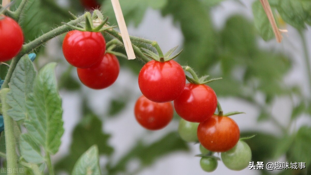 喝什么牛奶可以美白又不会变胖,美白有效方法吃的或喝的