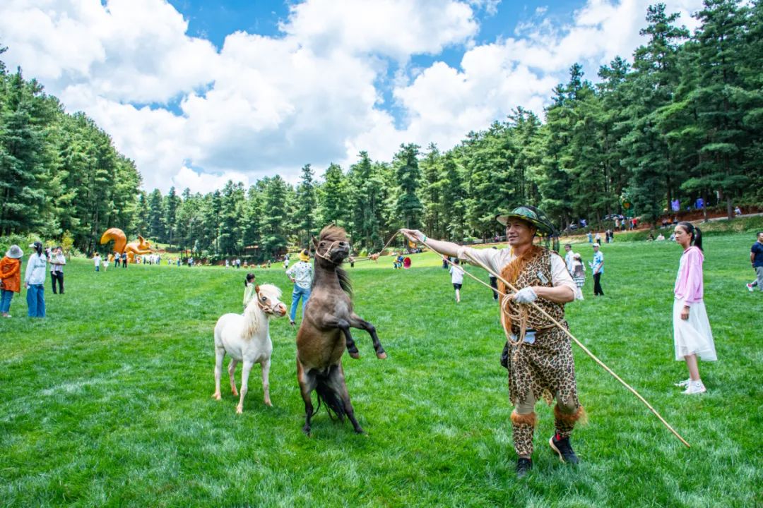 昆明周边旅游的好去处,常见的昆明周边度假攻略