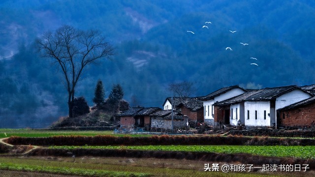 梅西为什么能多次变向,梅西十大庆祝动作