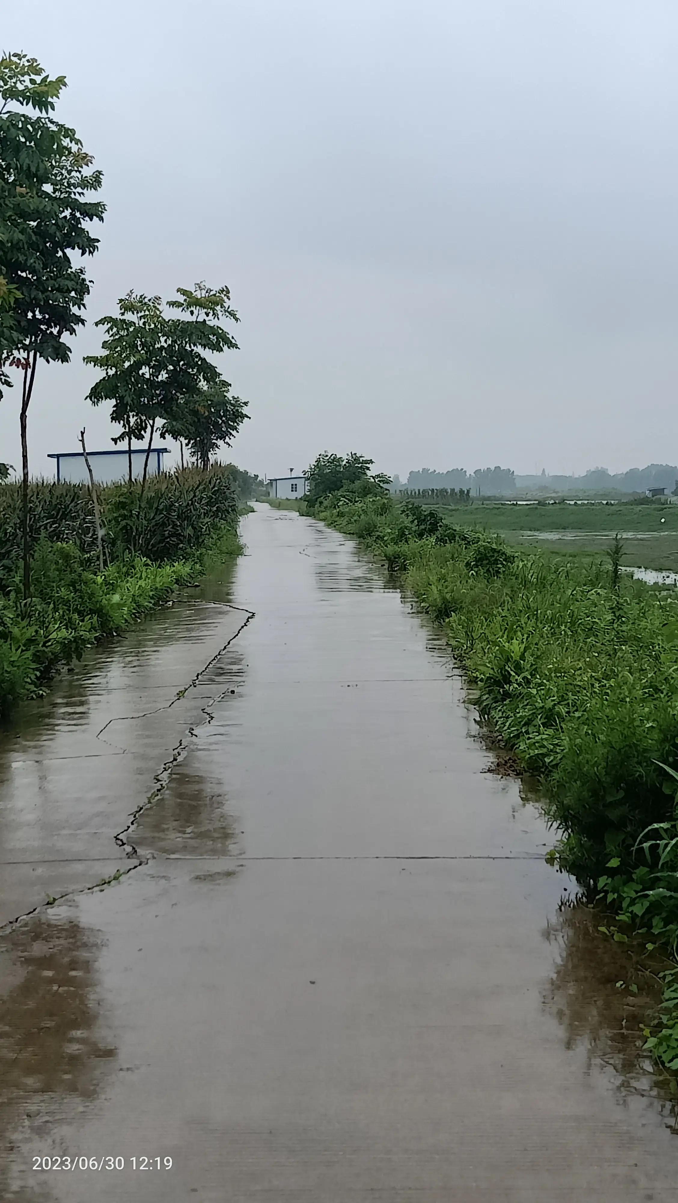 沌口海尔工业园叉车,武汉市蔡甸区东荆河路海尔工业园