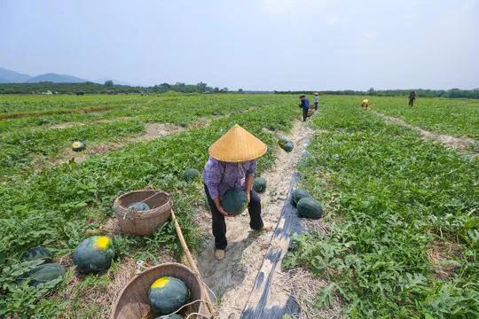 关于暴雨的经历,有关暴雨的感慨