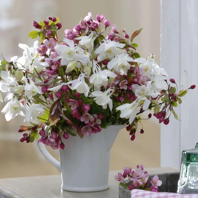 闺蜜小说知乎,闺蜜小说免费阅读