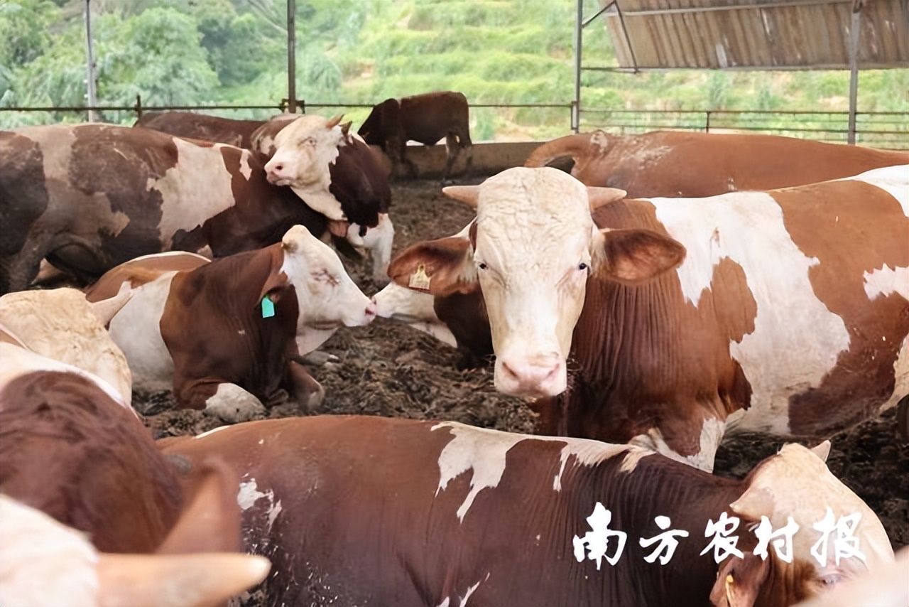 吾心归处为吾乡,吾心归处是原乡歌词