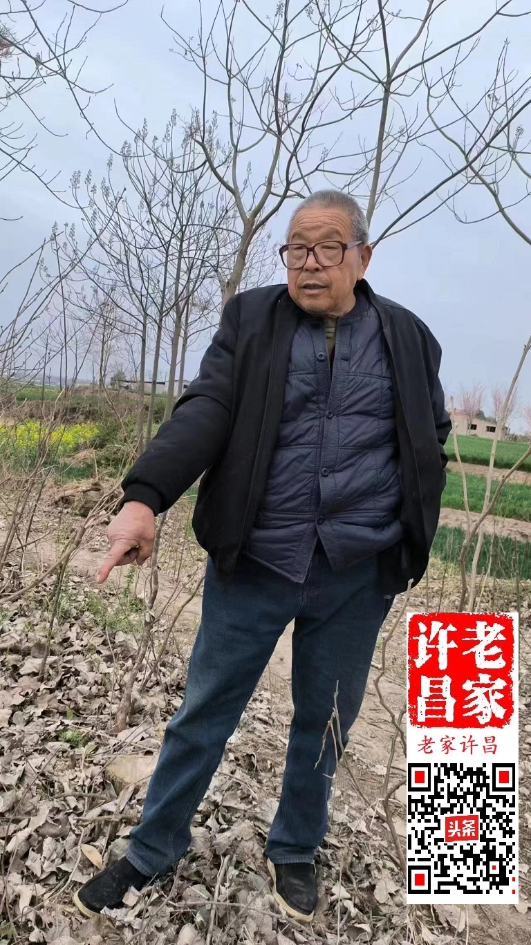 许昌盆李村历史,许昌建安区盆李村