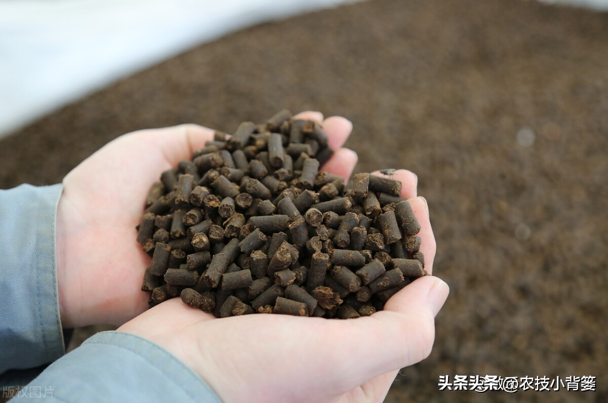 三分钟学会菌剂和菌肥的区别,菌剂和菌肥怎么选择