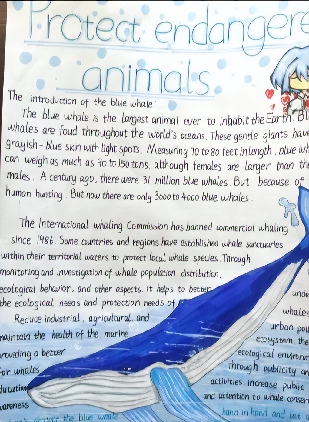 保护动物手抄报英语一等奖五年级,英语保护动物倡议手抄报