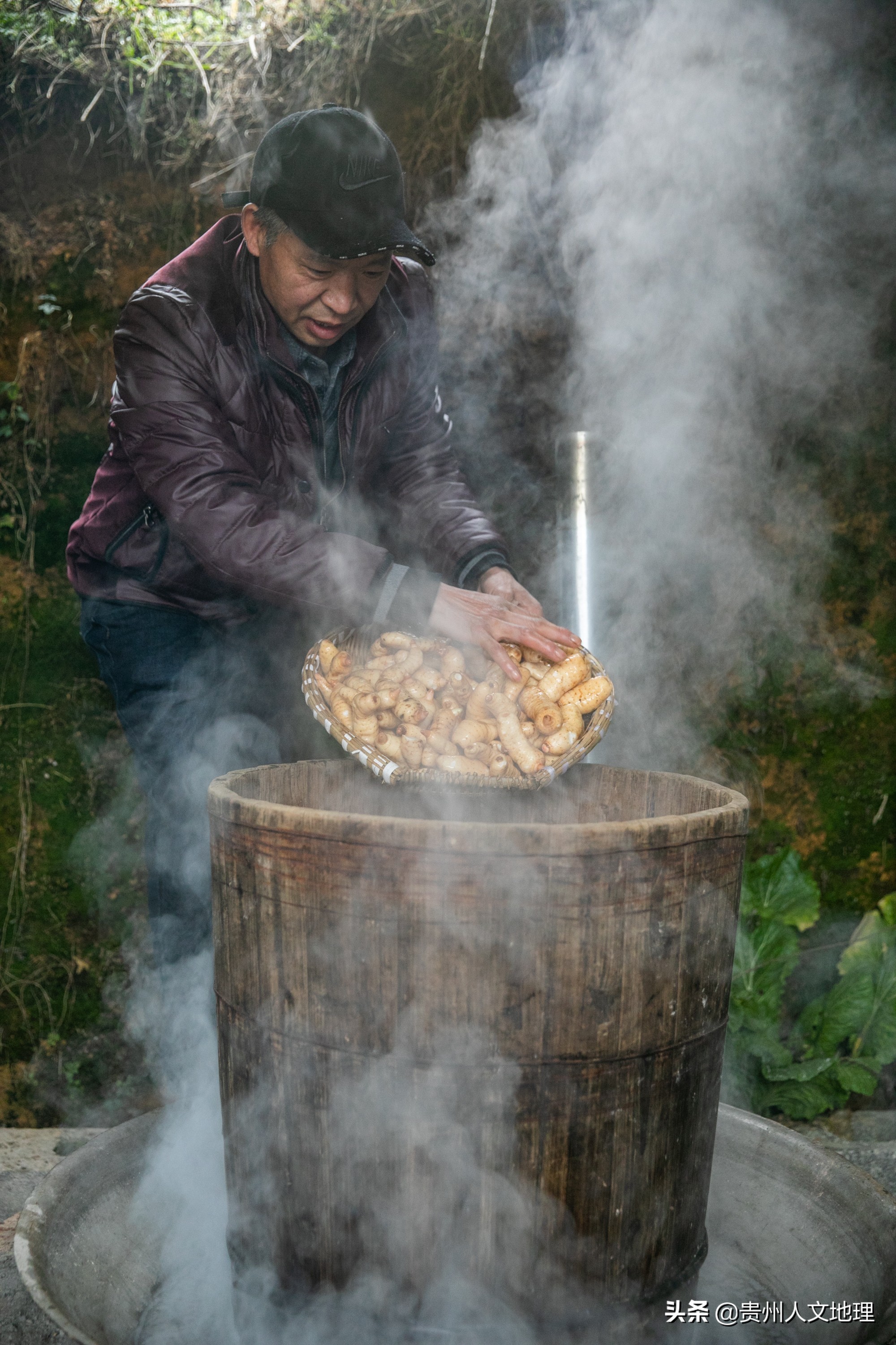 草坝天麻手工制作方法,贵州毕节天麻吃法