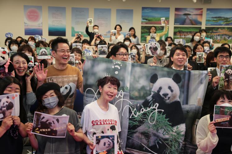 熊猫界最顶流的家族,熊猫界曾经的顶流