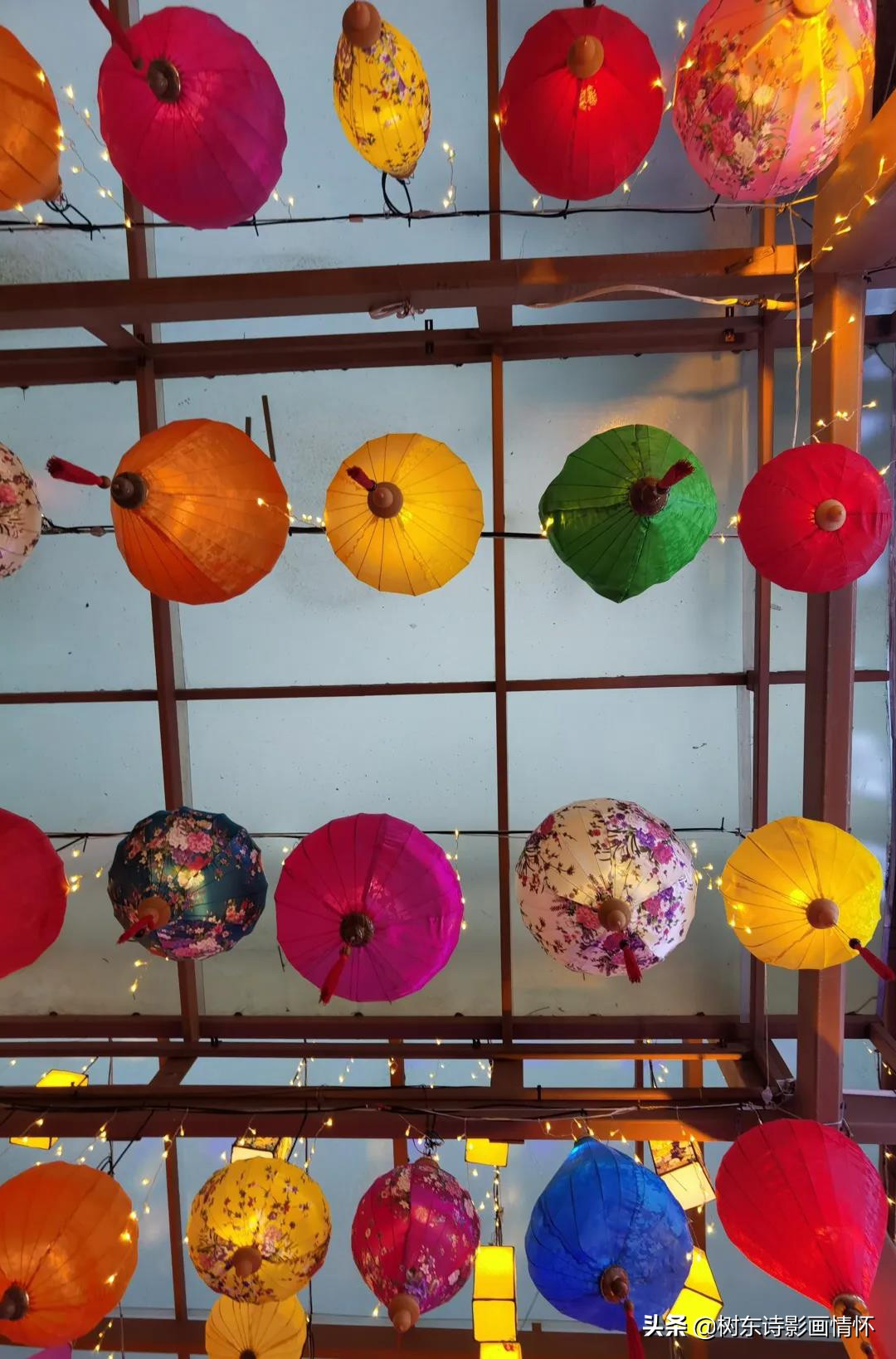 三亚红树林三亚特色,感受春天的气息和享受春天的美景