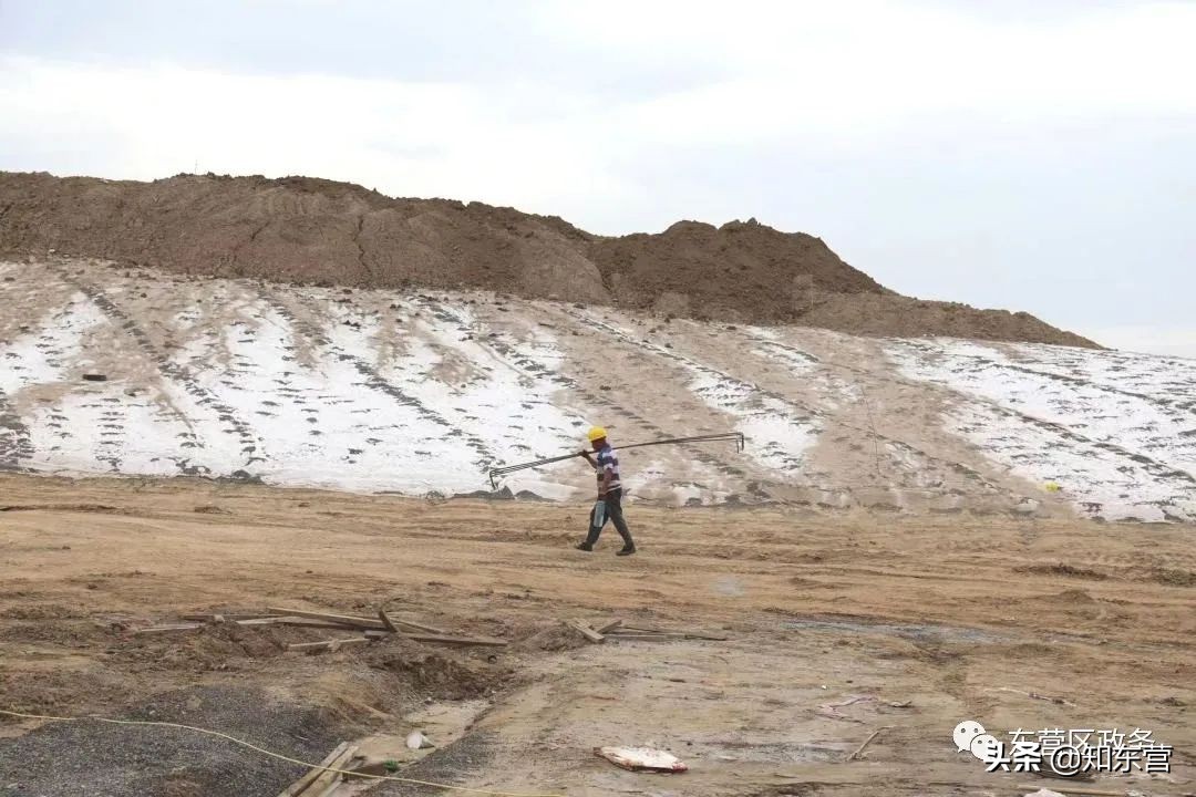 东营泮水公园火爆,东营泮水公园有植物吗