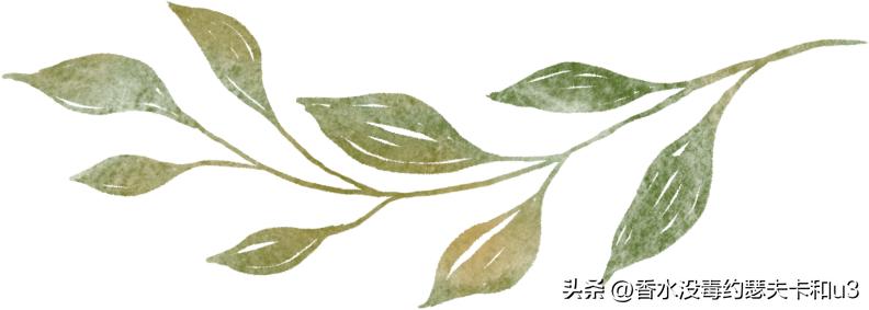 夏日香水,夏日香水有哪几种