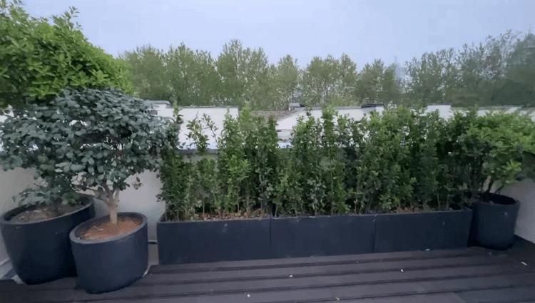 一个月三十万，能租到什么样的房子