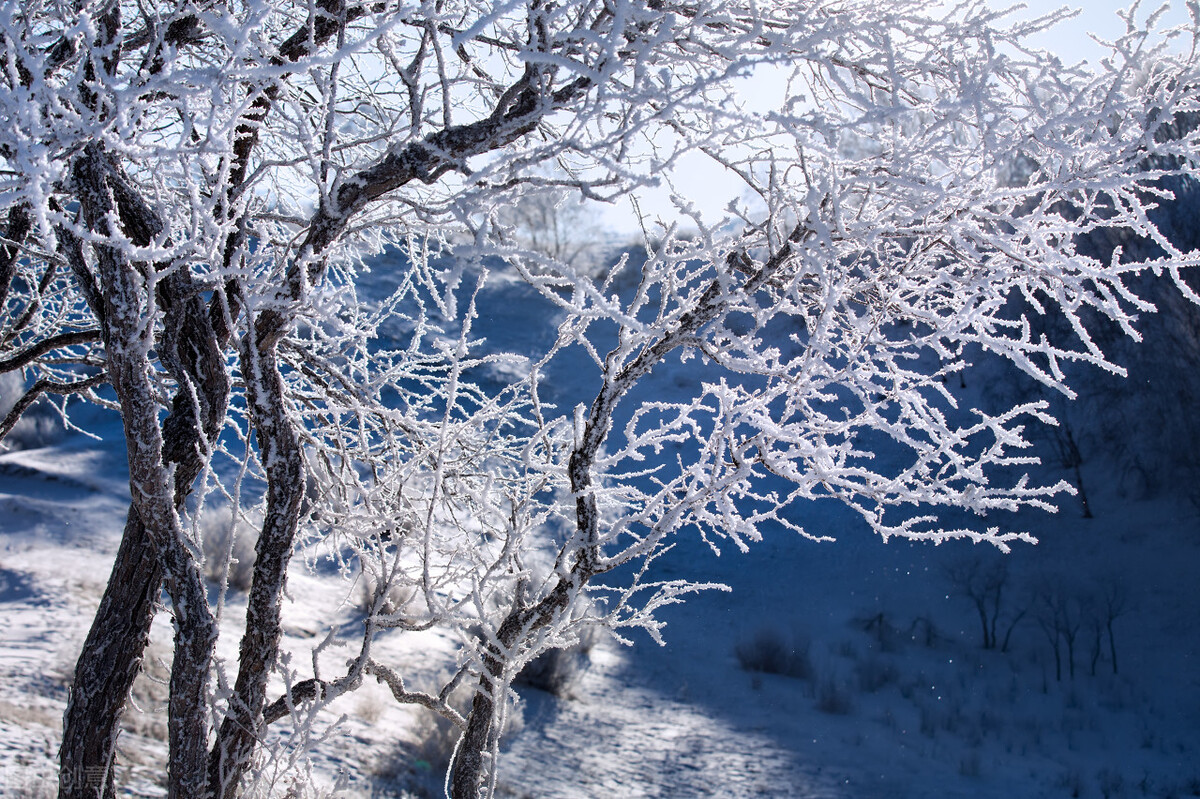 清都的原创诗词，4年作品合集，用文字记录生活