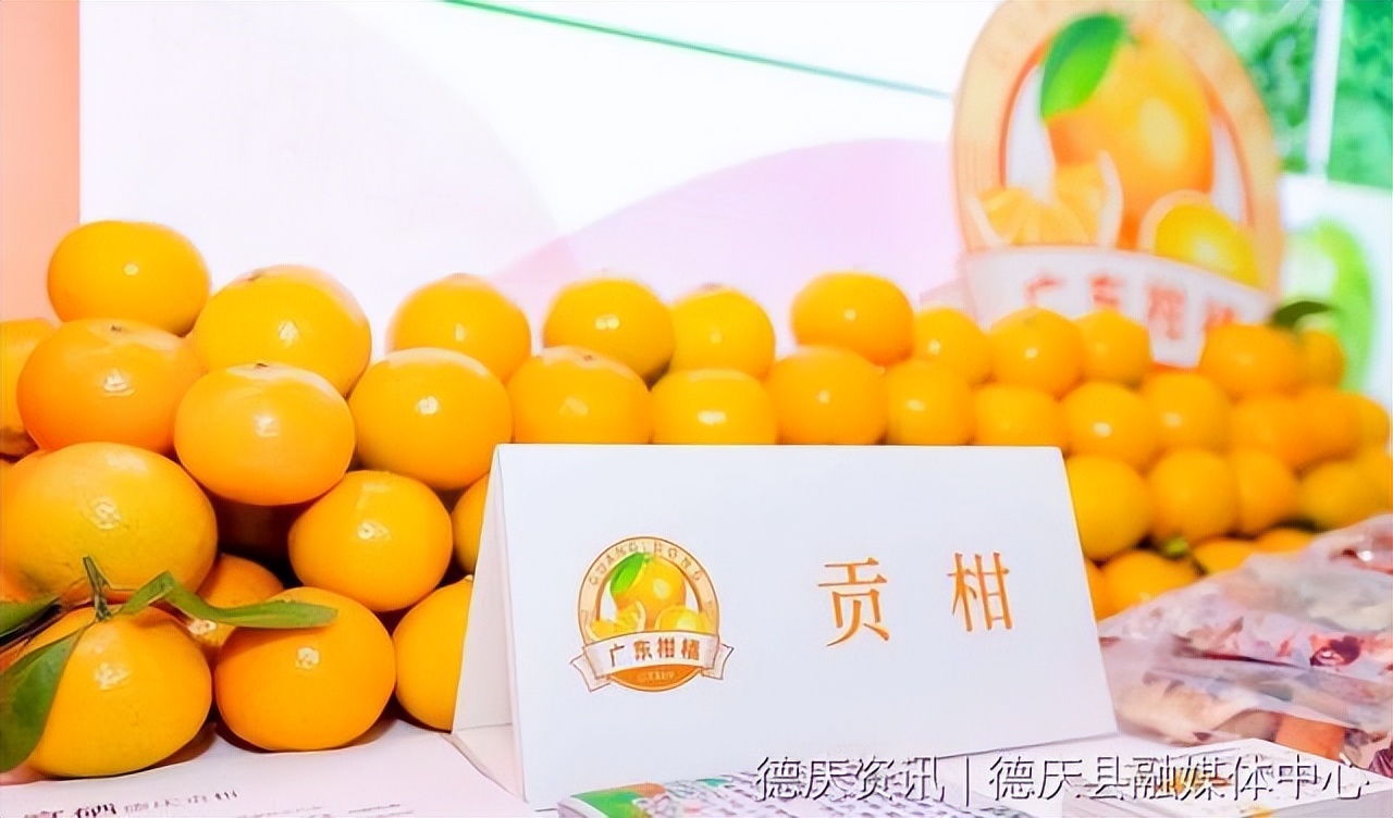 柑橘采摘助农活动,助农增产增收千人会议