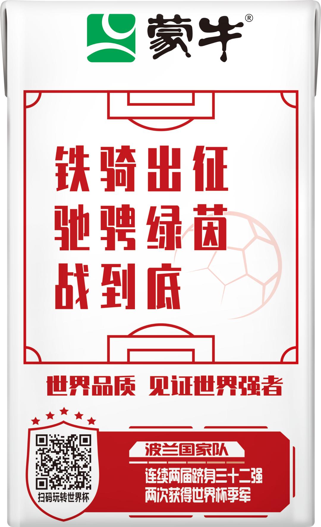 世界杯队长手记,世界杯队长纪录片葡萄牙