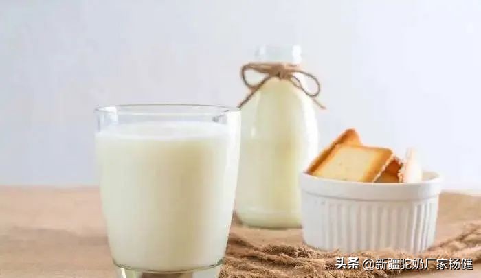 西域圣品骆驼奶,西藏正宗骆驼奶