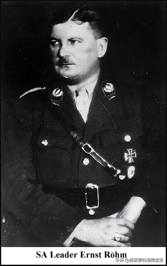 纳粹冲锋队用的什么枪,纳粹德军军衔图解