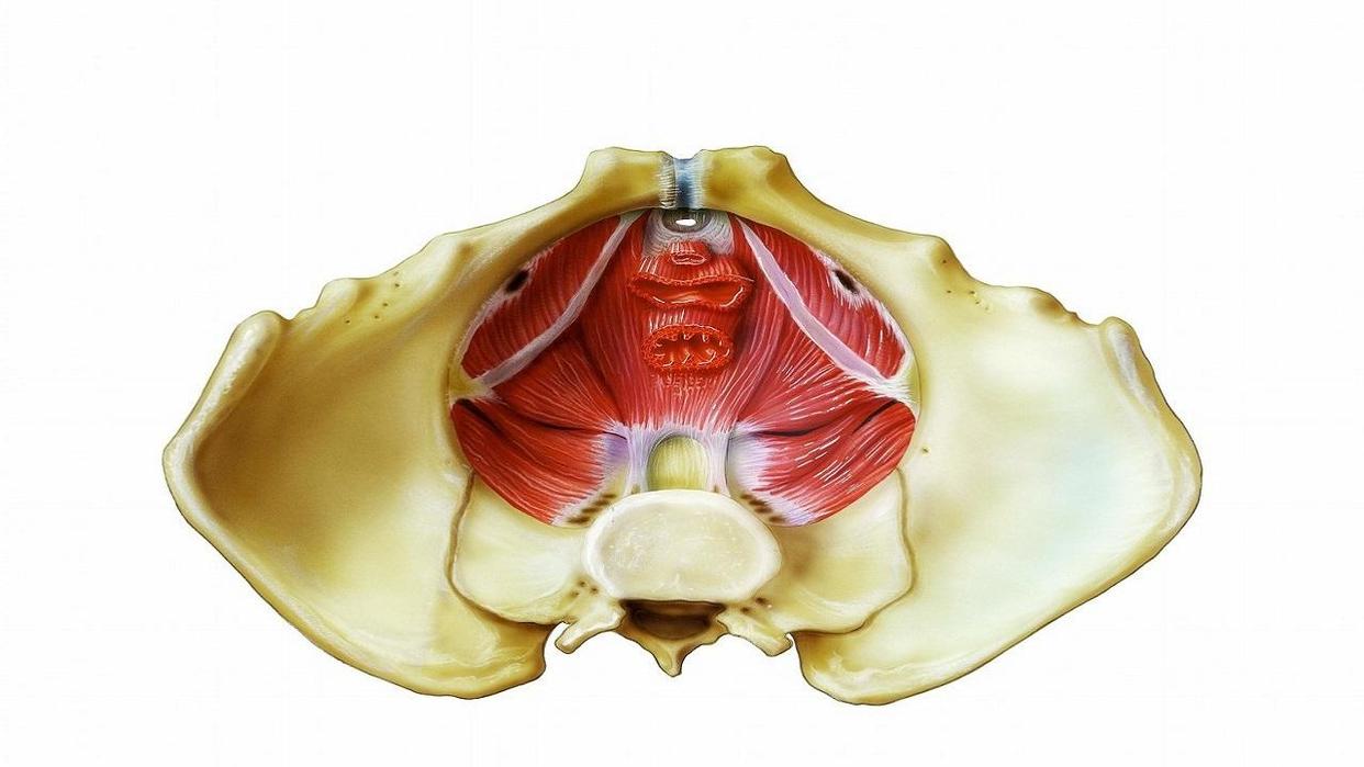 你有洗屁屁的习惯吗,你有洗屁股的习惯吗