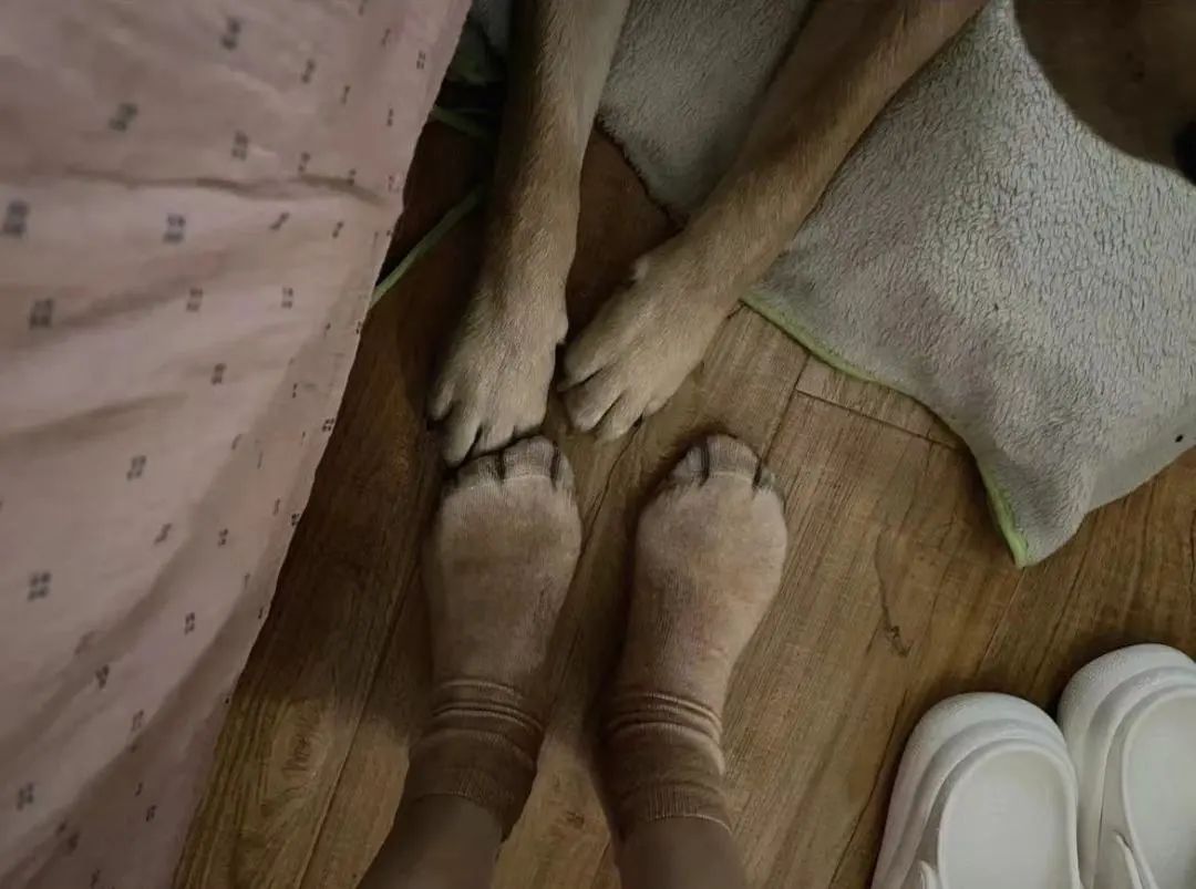 女厕的诡异事件,诡异女厕