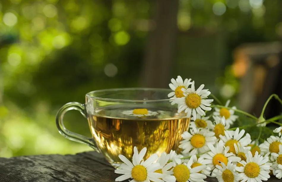 菊花长期喝一个月有害处吗,喝菊花的4大禁忌